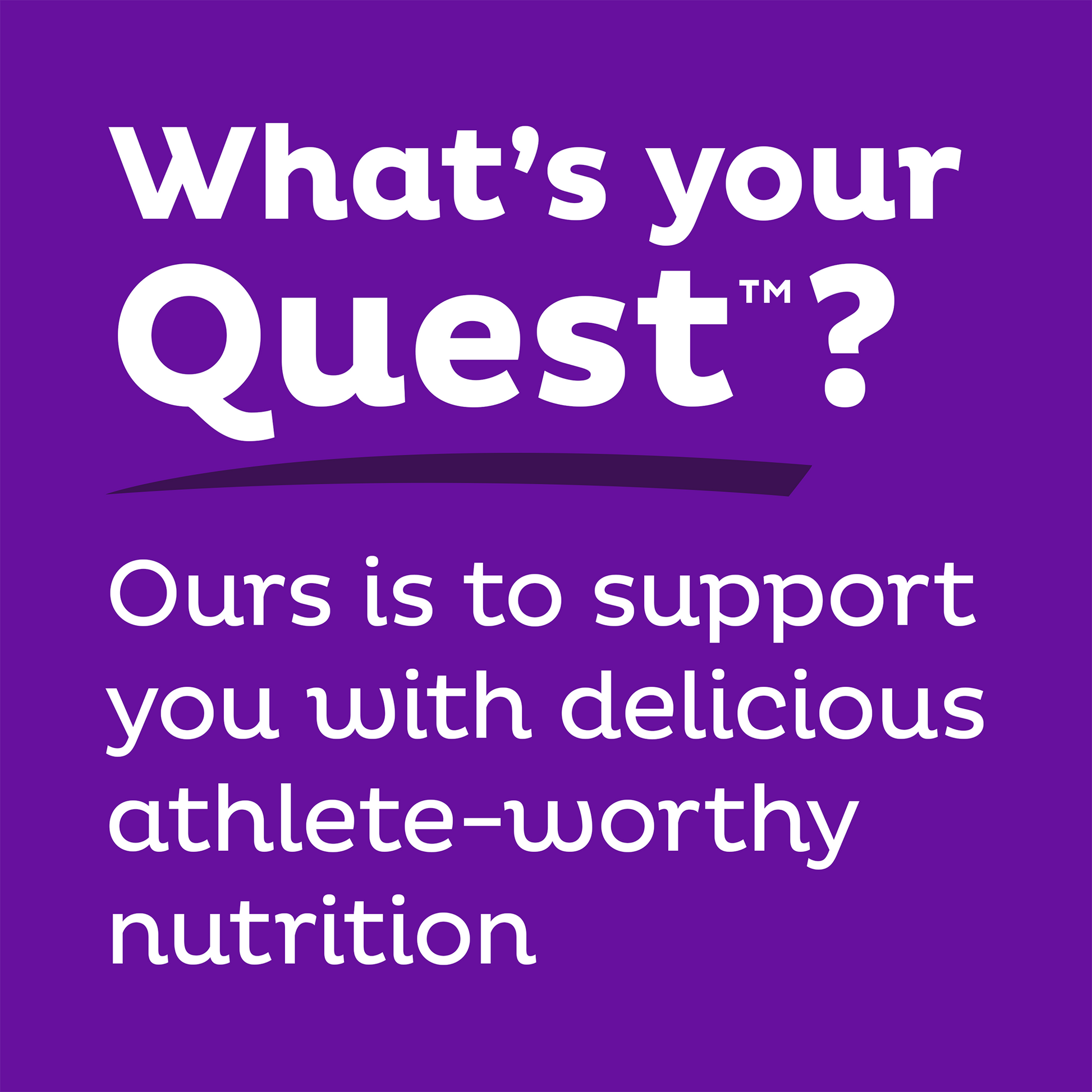 double-chocolate-chunk-protein-bars-o5 qst-000241_double-chocolate-chunk-protein-bars_9.png